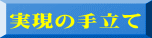 実現の手立て